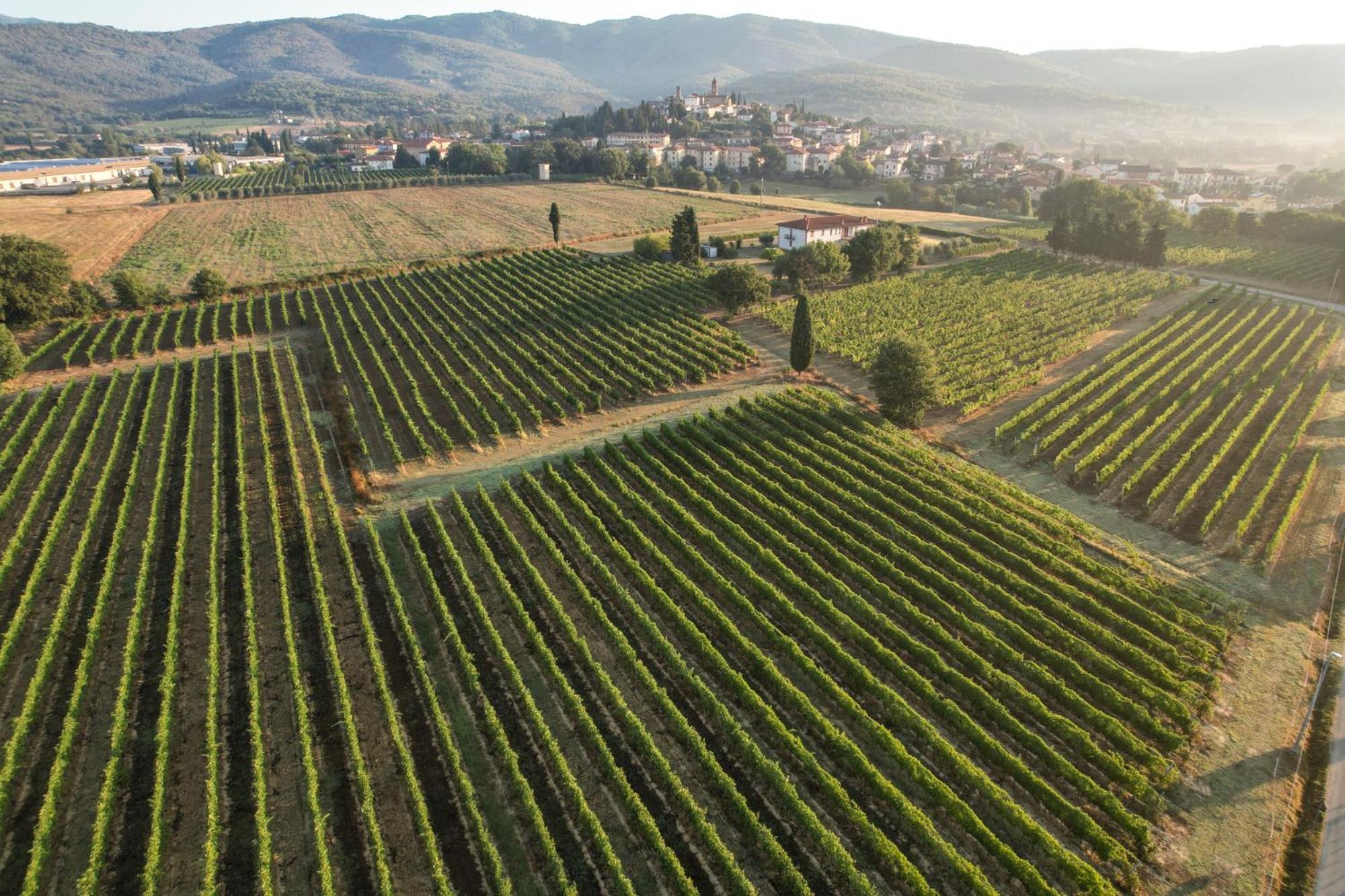 Cappannelle Country House Tuscany カスティリオーン・フィボッキ エクステリア 写真