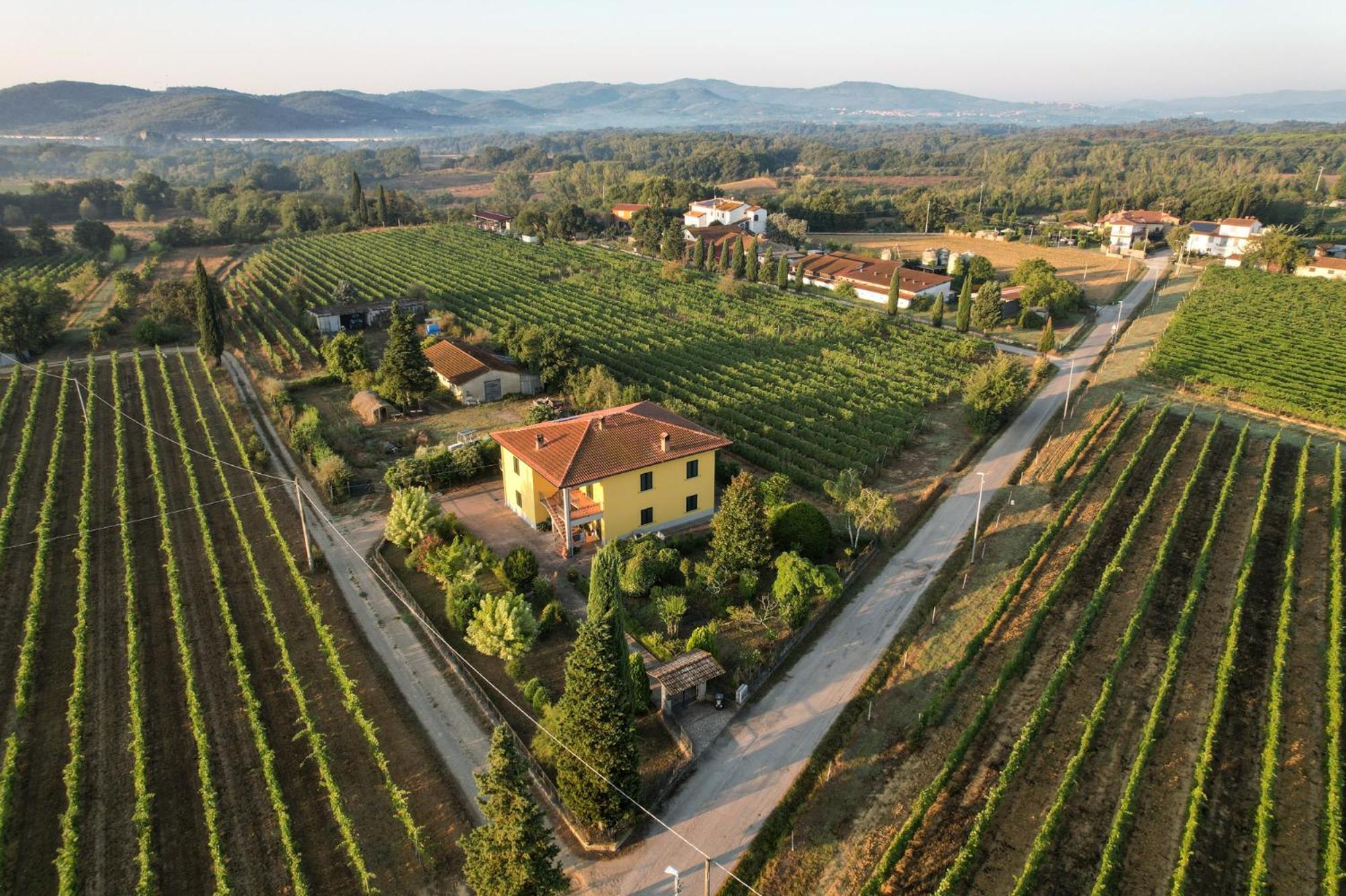 Cappannelle Country House Tuscany カスティリオーン・フィボッキ エクステリア 写真