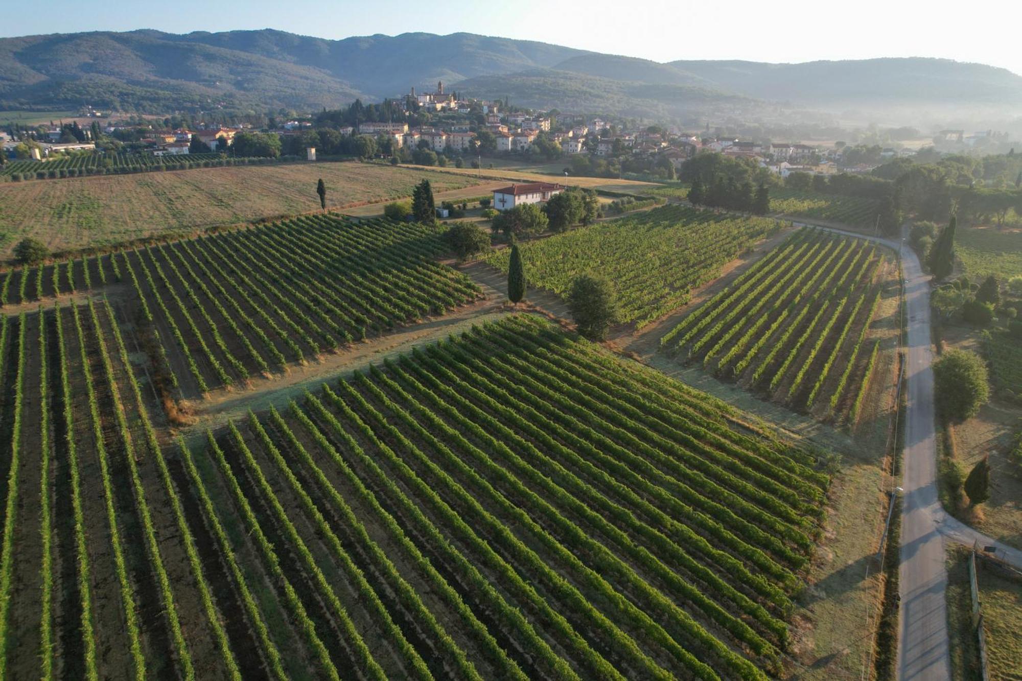 Cappannelle Country House Tuscany カスティリオーン・フィボッキ エクステリア 写真