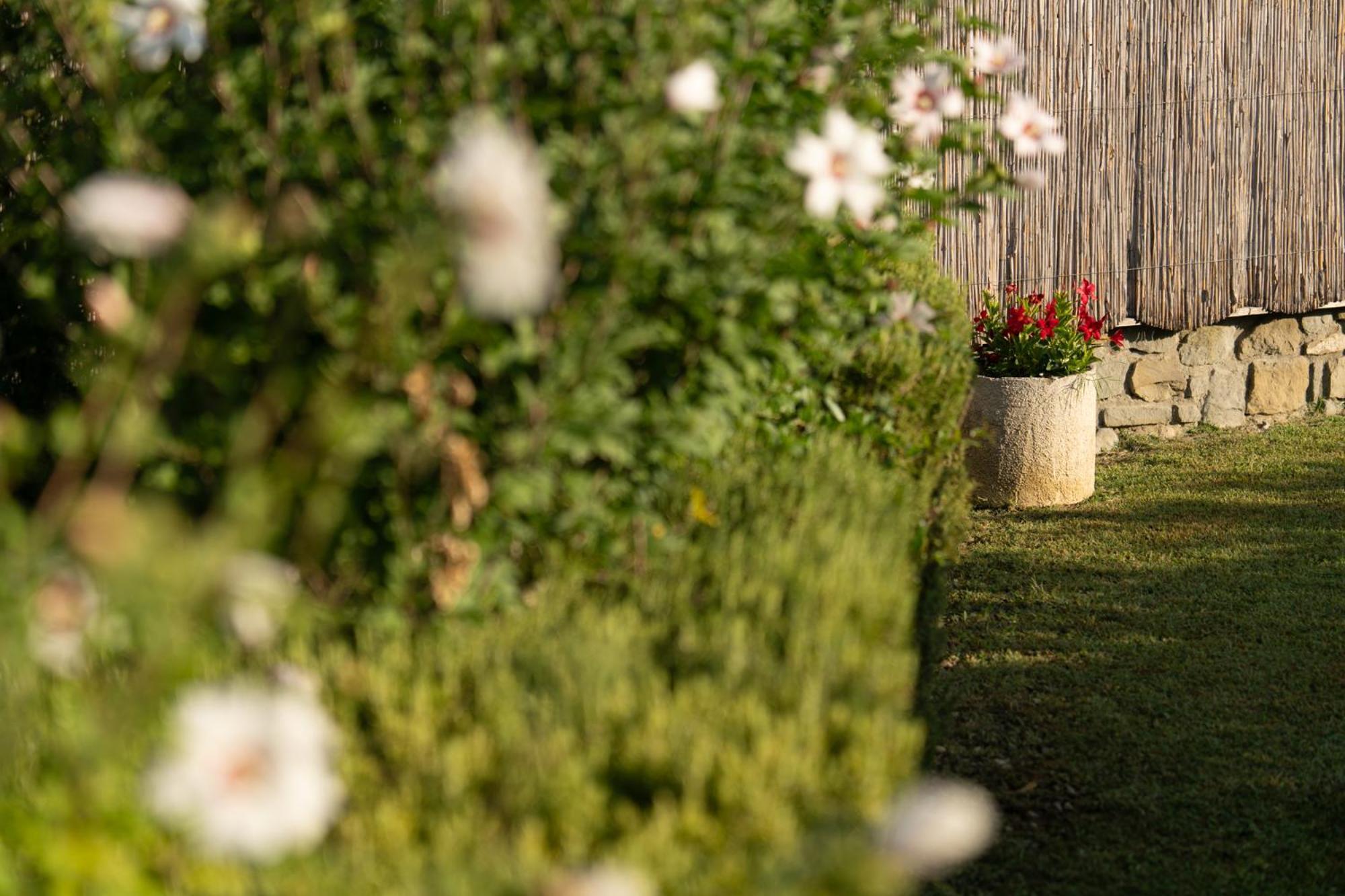 Cappannelle Country House Tuscany カスティリオーン・フィボッキ エクステリア 写真