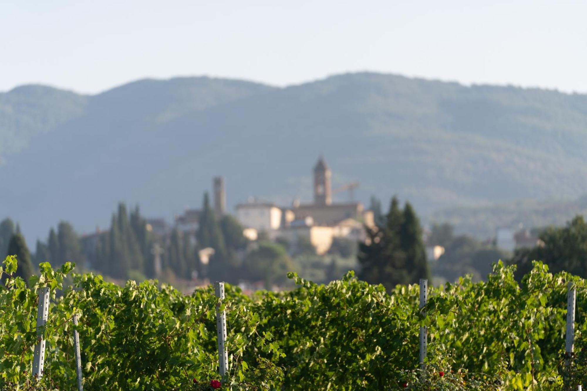 Cappannelle Country House Tuscany カスティリオーン・フィボッキ エクステリア 写真